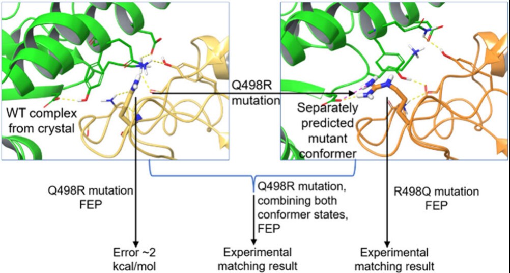 Proteins and arrows