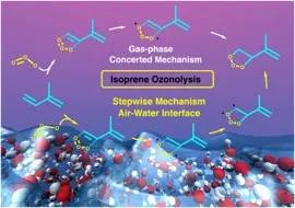 Isoprene ozonolysis mechanistic cycle